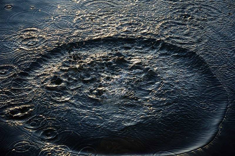 Circles on the water In sunset light, stock photo