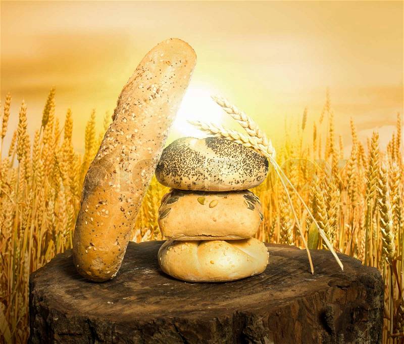 Bread and wheat cereal crops. Cereal crops on the background at sunset, stock photo