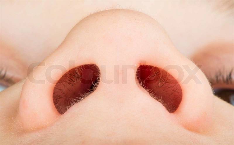 Human nose close up studio shot. Lowest view point, stock photo