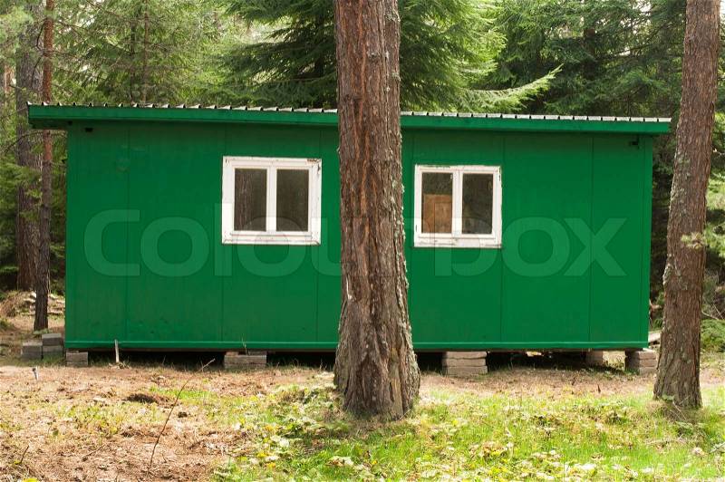 Green bungalow in the forest between the trees, stock photo