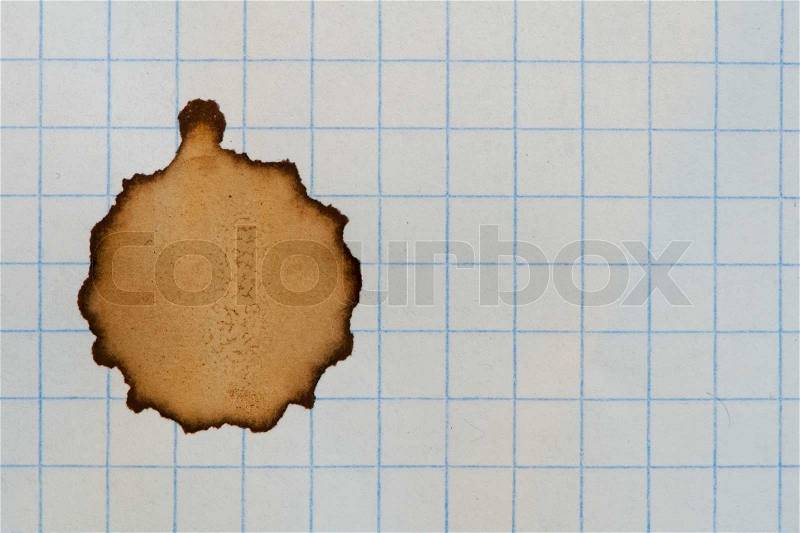 Checkered sheet of paper from a notebook and coffee stain, stock photo
