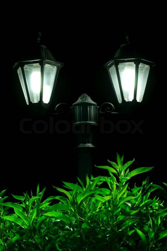 Night picture of the lamp close up. Decorative garden in the night, stock photo