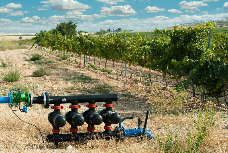 Water pumps for irrigation of vineyards, stock photo