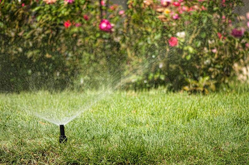 Watering the garden automatically, stock photo