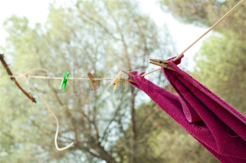 Clothes dryer on tree branch. Forest camping, stock photo