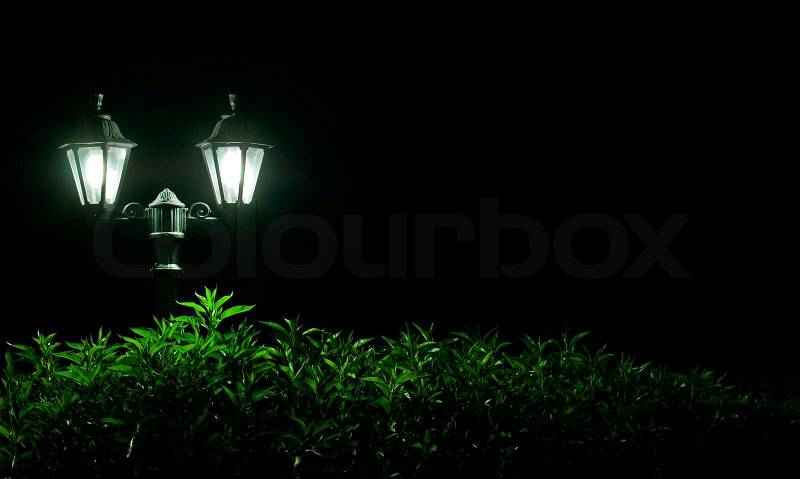 Outdoor Night lamp in park. Night light, stock photo