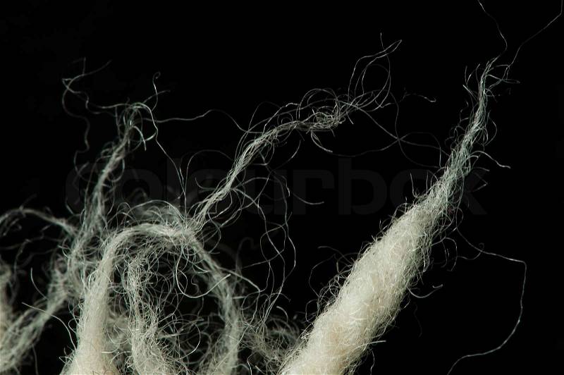 White wool fibers closeup. Black isolated, stock photo