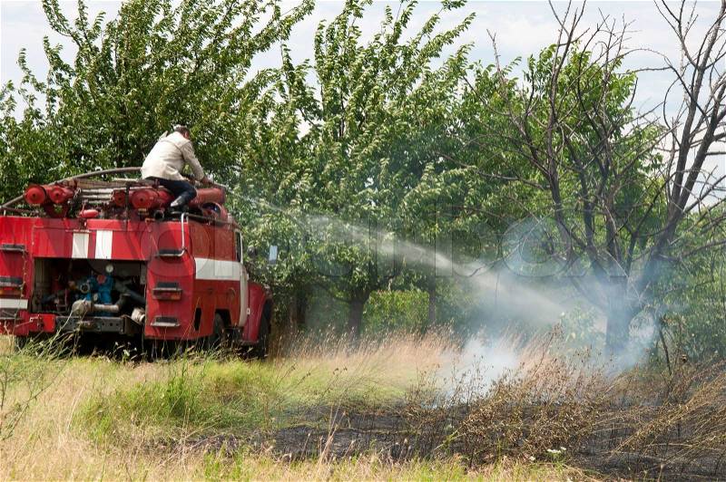 Firefighters extinguish a fire. Trees and grass, stock photo