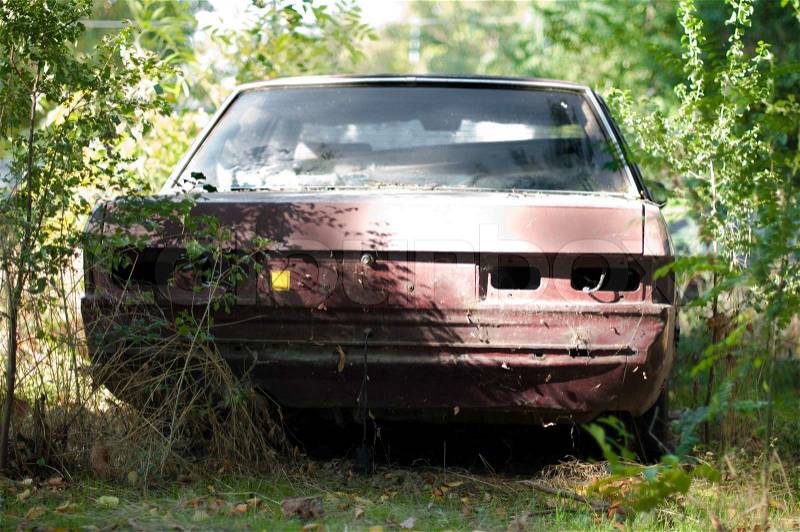 Old, broken car between green bushes and forests, stock photo