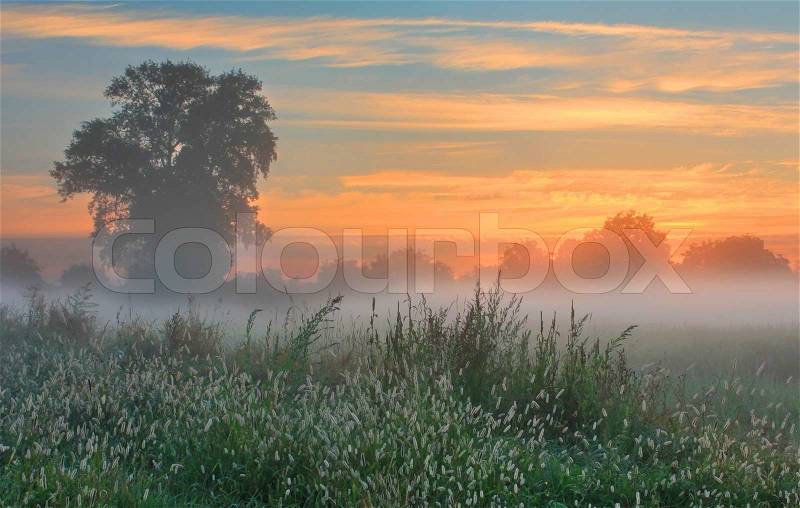 Misty dawn autumn morning, stock photo