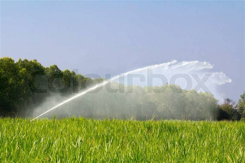 Sprinkler head watering the grass in farm, stock photo