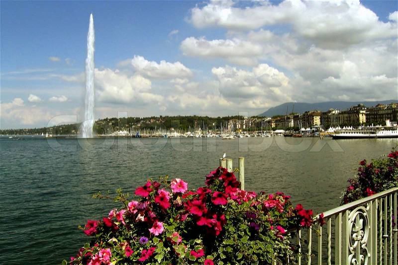 Jet d\'Eau water jet on the Lake Geneva with pink flowers on the foreground, Geneva, Switzerland, stock photo