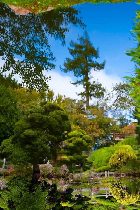 Pond in Japanese Tea Garden, San Francisco, California, USA, stock photo