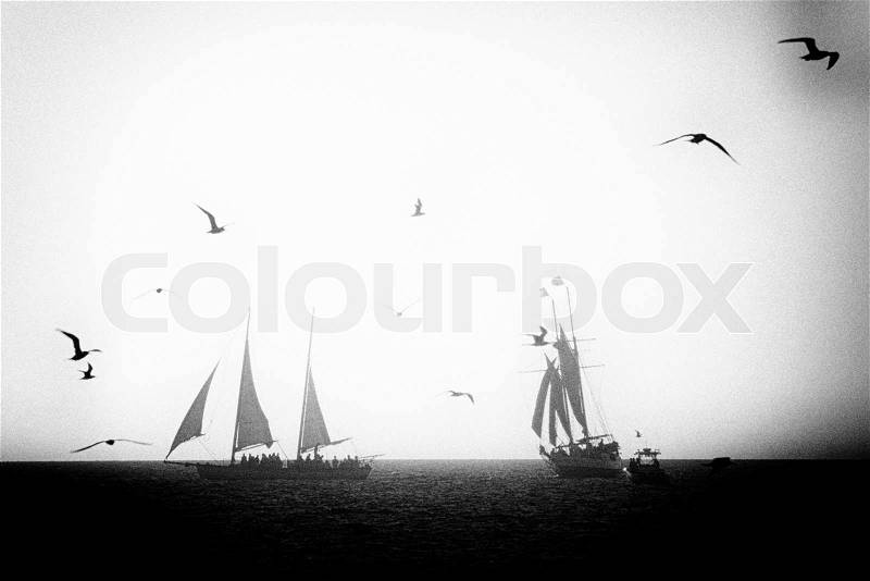 Sailboats sailing in the ocean, Key West, Florida, USA, stock photo