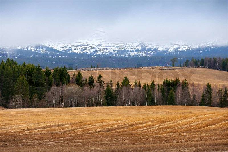Rural spring Norwegian landscape with dry grass and foggy mountains, stock photo