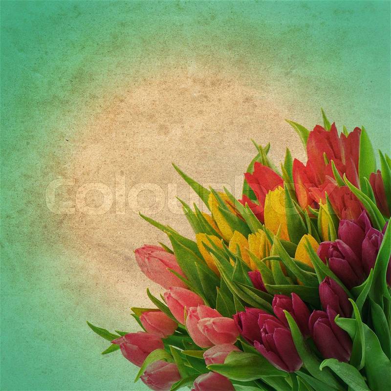 Floral border of fresh multicolor tulip flowers over vintage paper background. retro style picture, stock photo