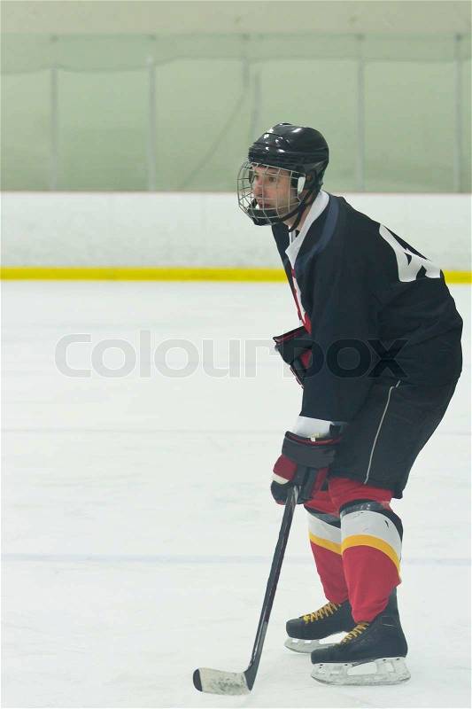 Hockey player on the point during a game, stock photo