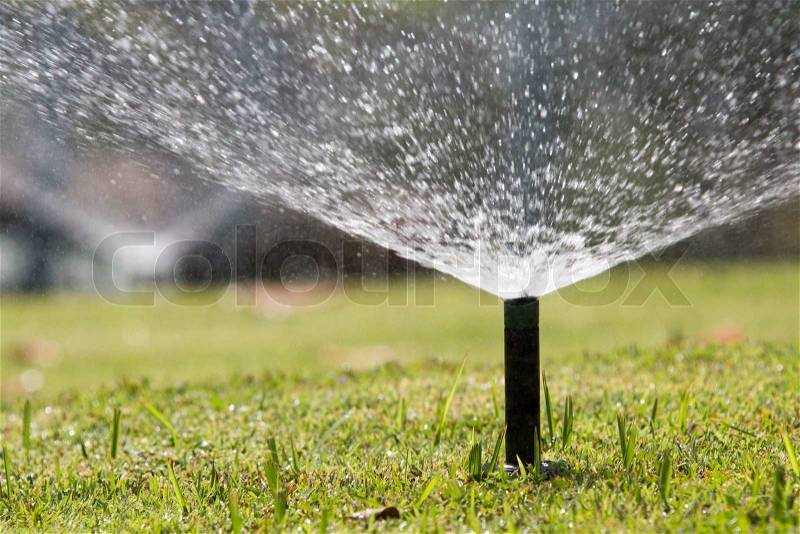 Sprinkler head watering in park, stock photo