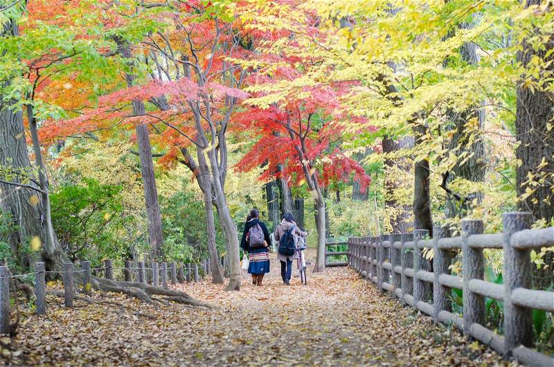 People walking in colorful autumn forest, Tokyo, Japan, stock photo