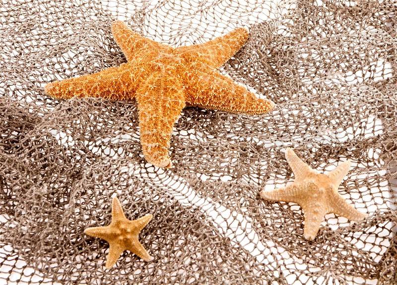 Three sea stars lie on the fishing net, stock photo