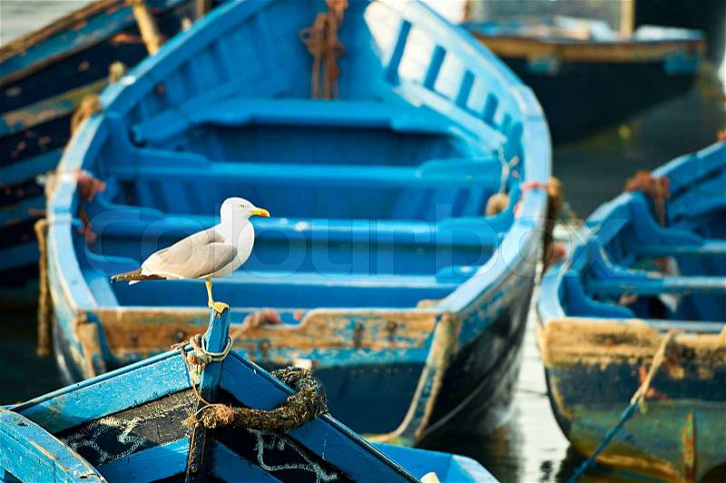 Blue fishing boats on an ocean coast in Essaouira, Morocco, stock photo