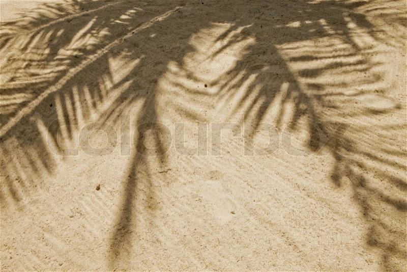 Background photo of beach sand with palm shadow, stock photo