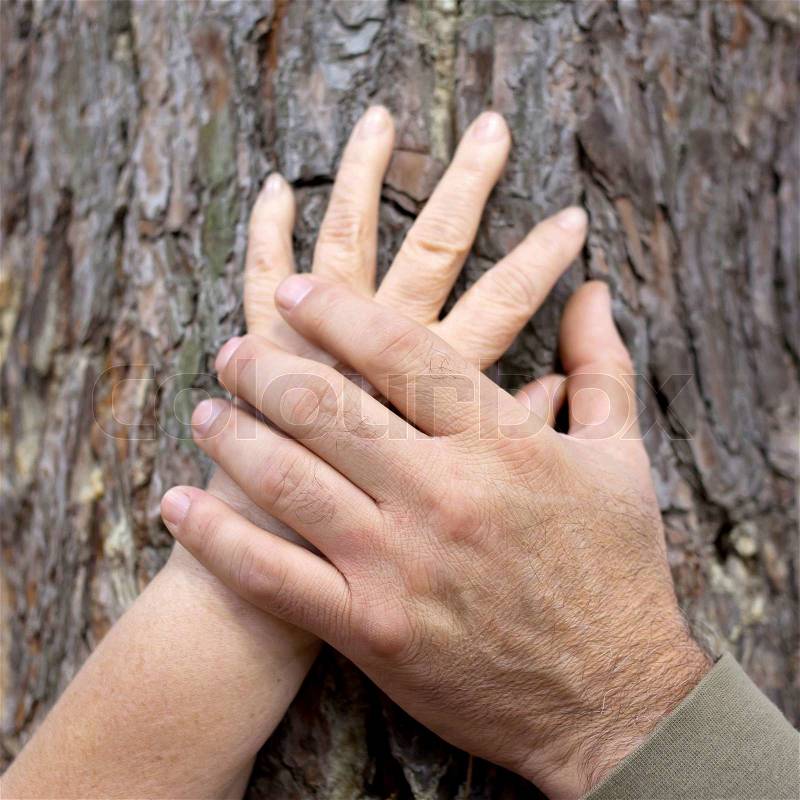 Old people holding hands. Hands of an elderly couple on a tree trunk outdoors. Family and love concept. Closeup, stock photo