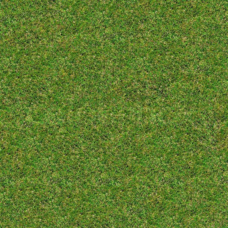 Seamless Tileable Texture of Green Meadow Grass, stock photo