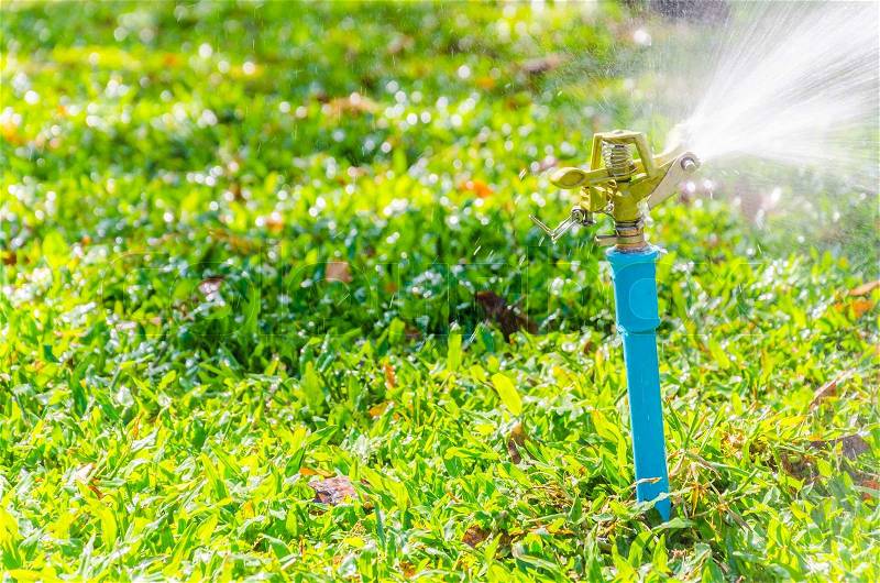 Sprinkler head watering in the garden, stock photo