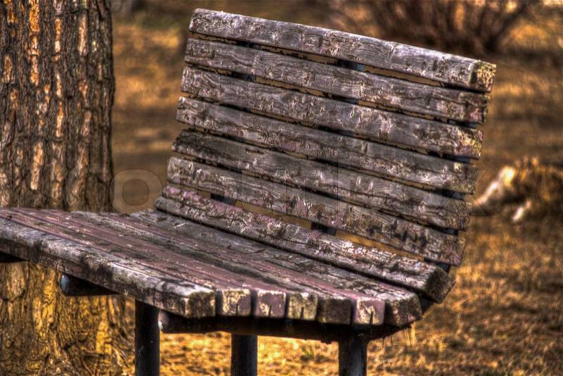 An old two bench in an urban park, stock photo