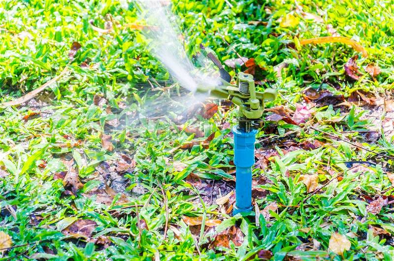 Sprinkler head watering in the garden, stock photo