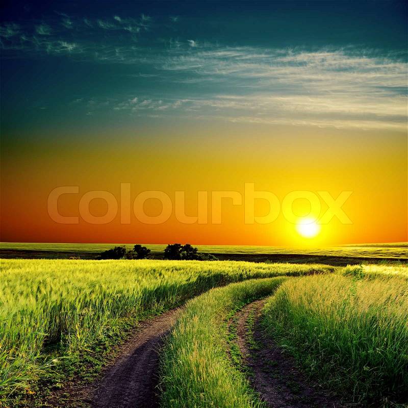 Good sunset and road to horizon in green field, stock photo