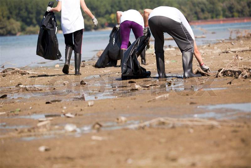 Volunteers cleaning of the environment, stock photo