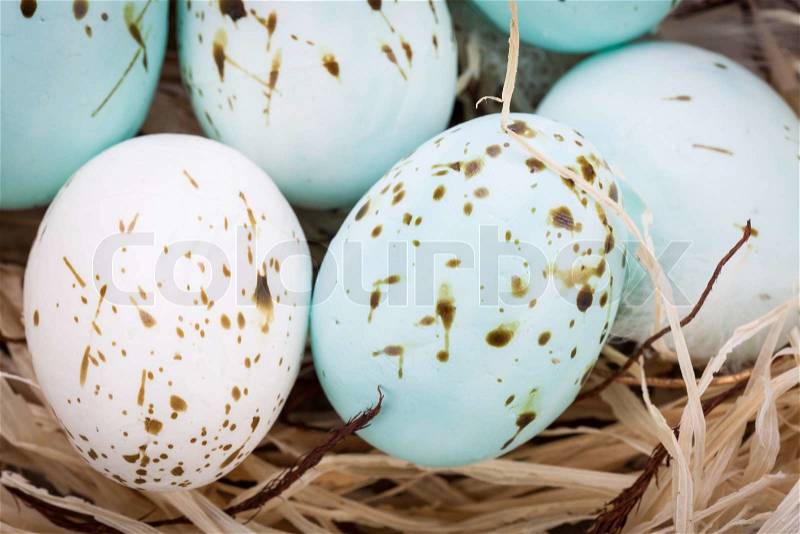 Three natural blue Easter eggs in a basket seasonal decoration, stock photo
