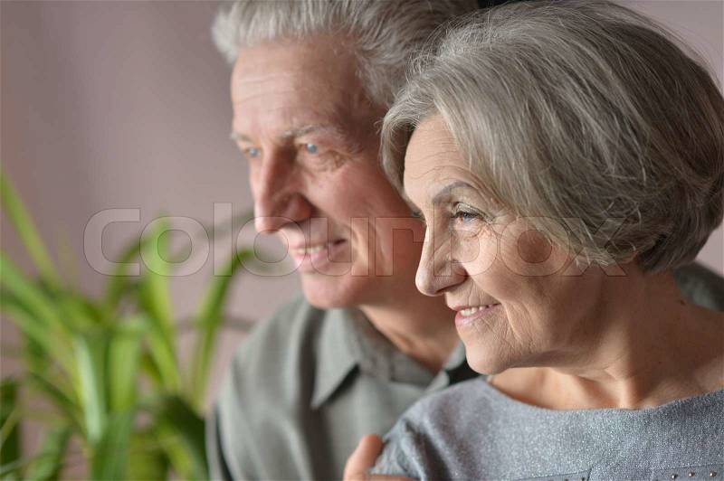 Close-up portrait of a happy senior couple at home, stock photo