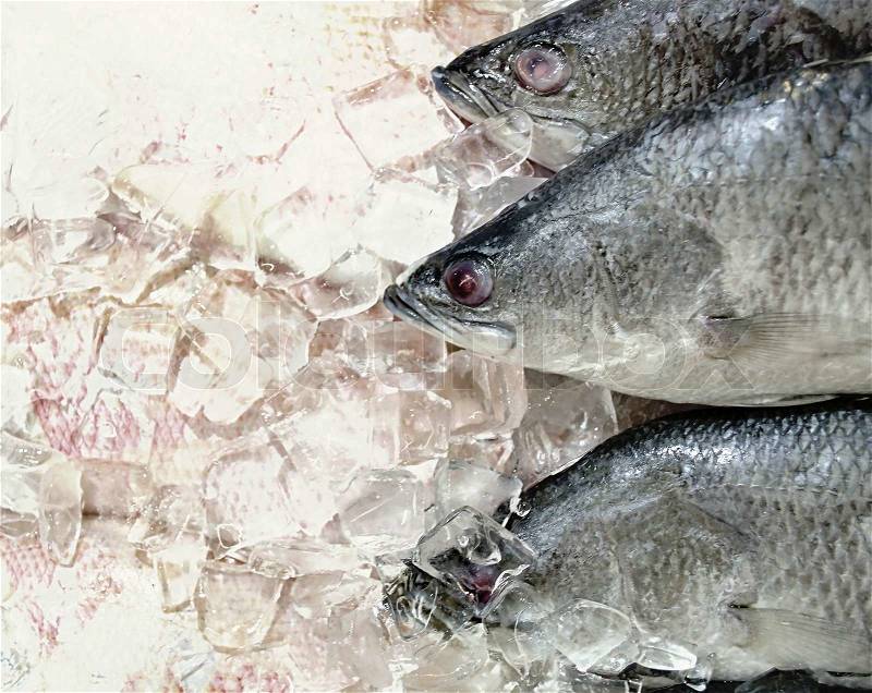 Frozen fish in the market, stock photo