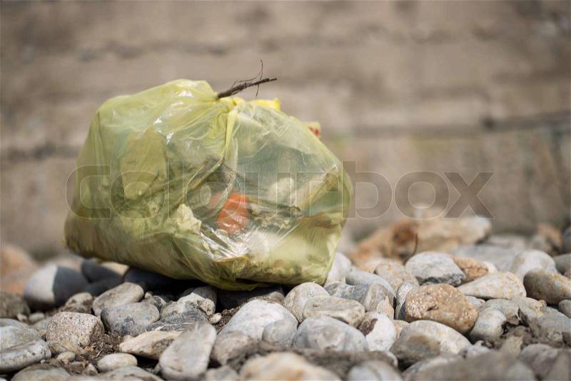 Trash in nature, stock photo