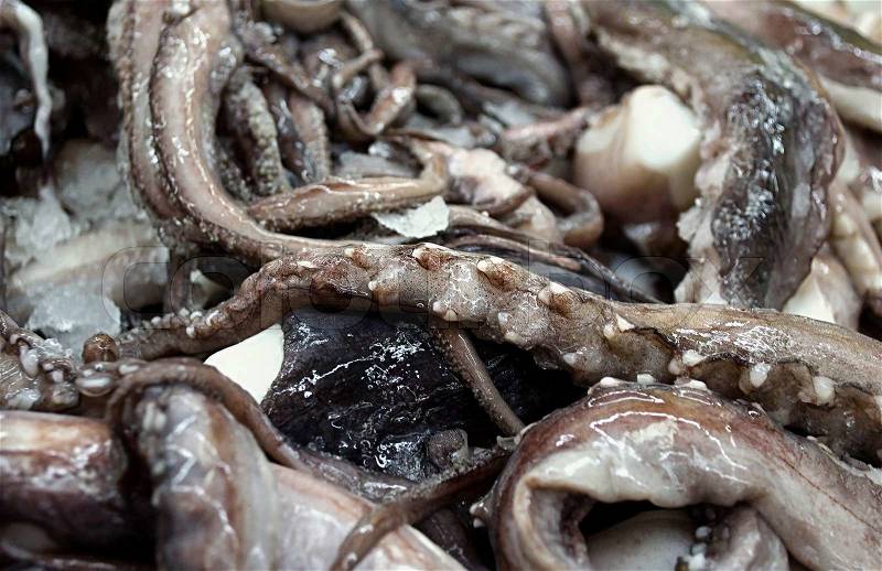 Tentacles of squid available in the market, stock photo