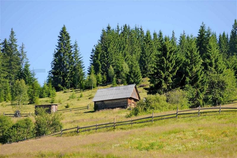 An old house in forest, stock photo