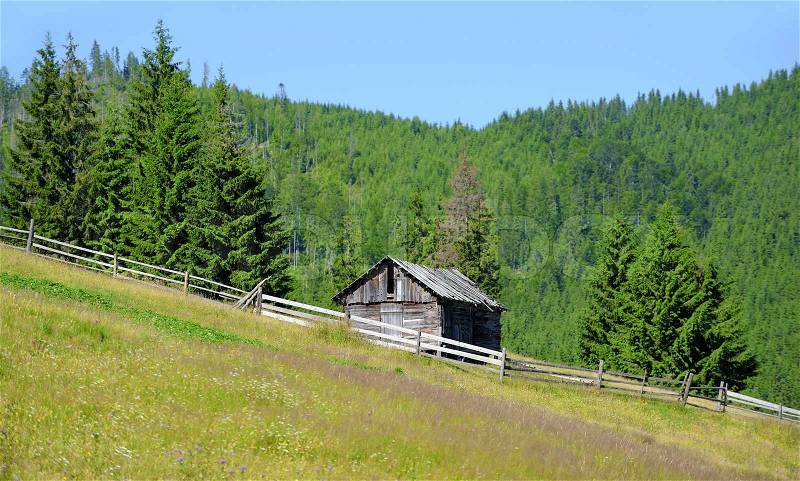 An old house in forest in summer day, stock photo