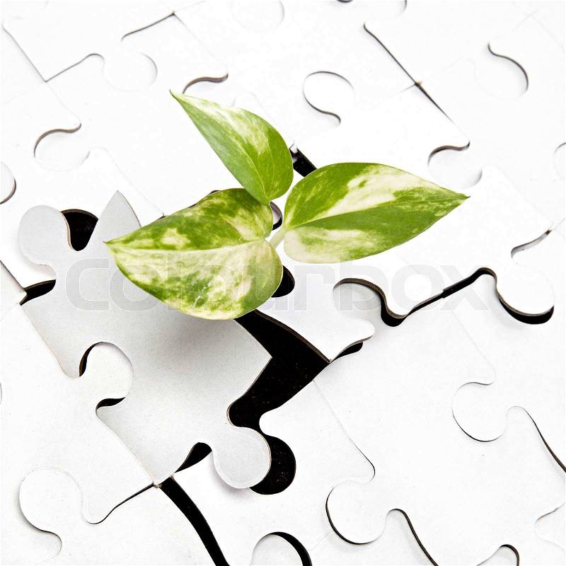 Green sprout from the earth makes its way through the puzzle, stock photo