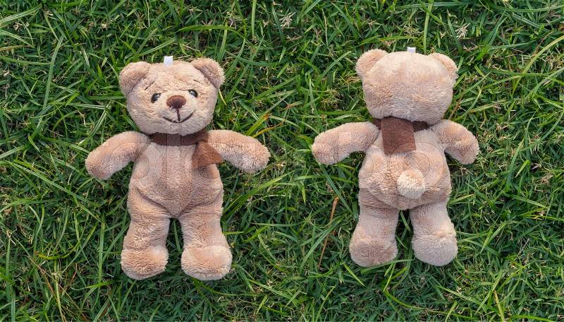Two TEDDY BEAR brown color with scarf on the grass,front and back side, stock photo