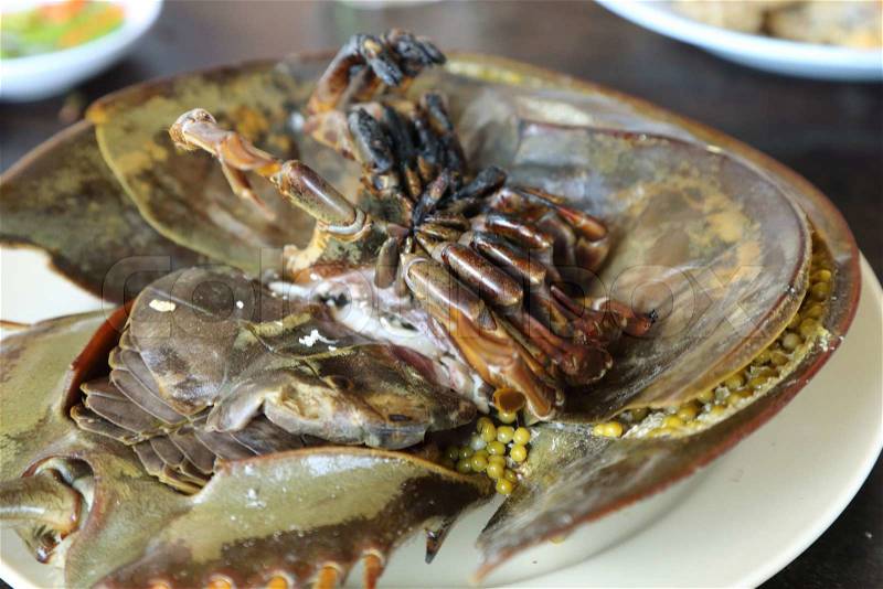 Horseshoe crab eggs on the plate, stock photo