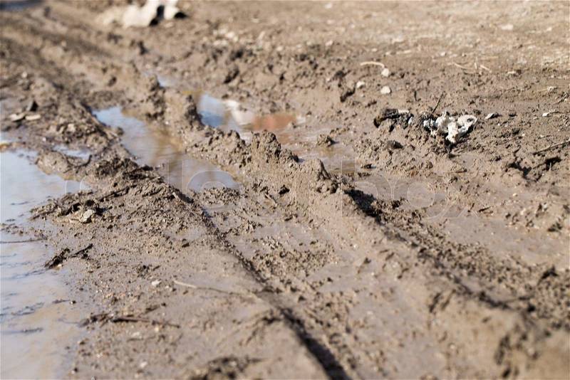 Traces of dirt cars, stock photo
