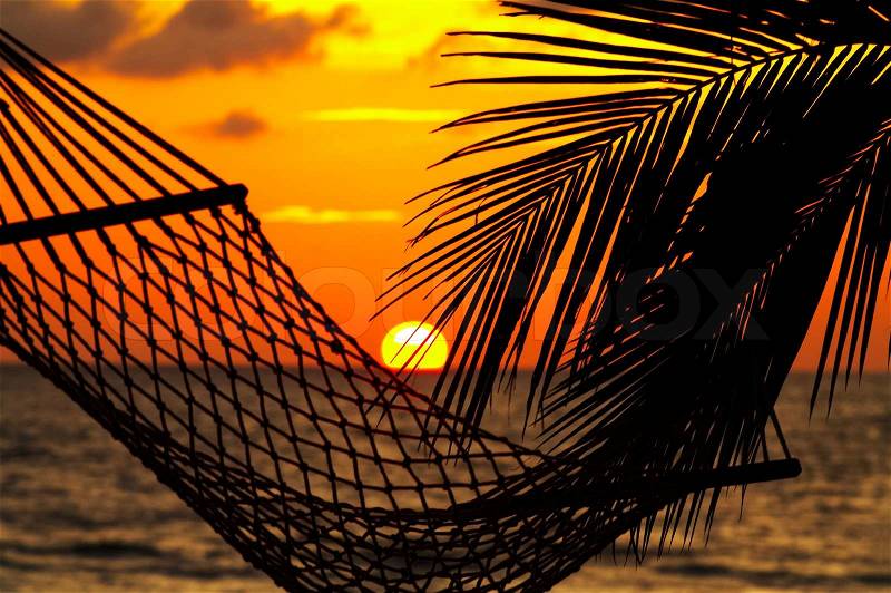 Silhouette of hammock and palm leaf during tropical sunset, stock photo