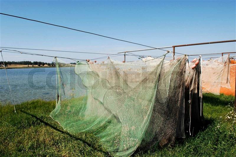 Fish net, stock photo