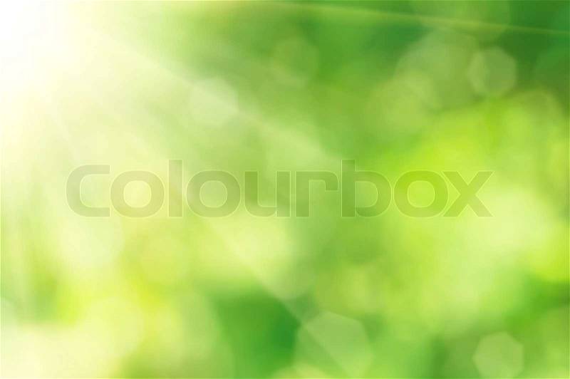 Natural outdoors bokeh background in green and yellow tones with sun rays, stock photo