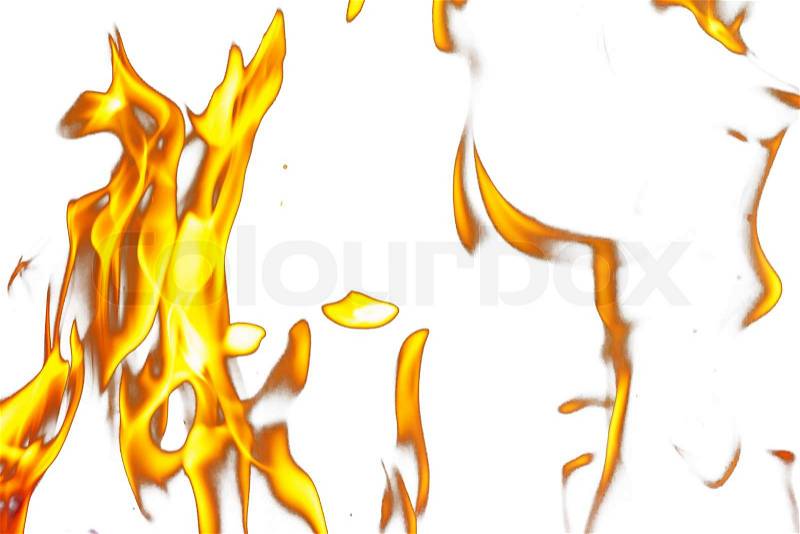 Fire flames on a white background, stock photo
