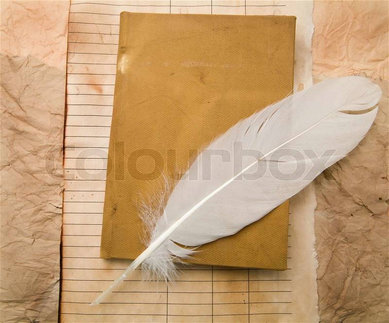 Old paper with a feather as a background, stock photo