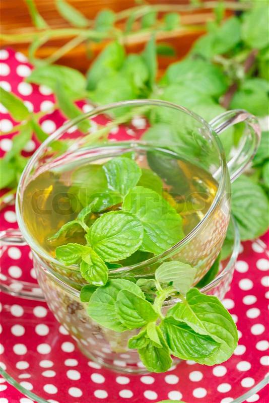 Mint tea with fresh mint leaves, stock photo